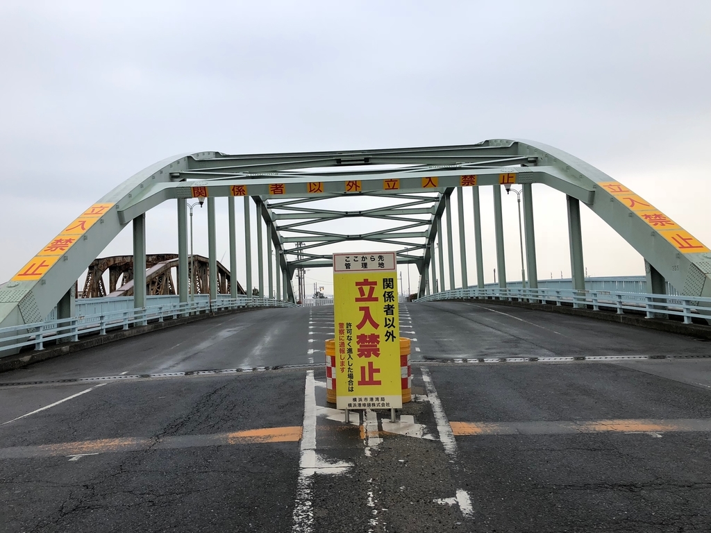 f:id:MIKIMOTO7:20190106212404j:plain