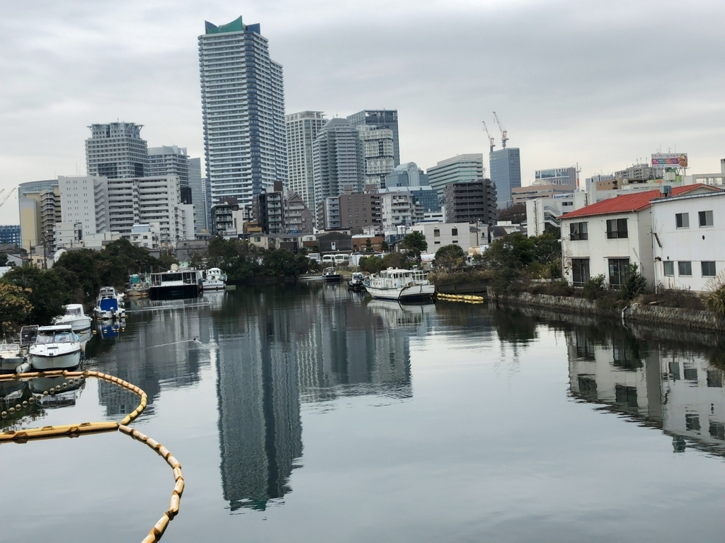 f:id:MIKIMOTO7:20190106212420j:plain