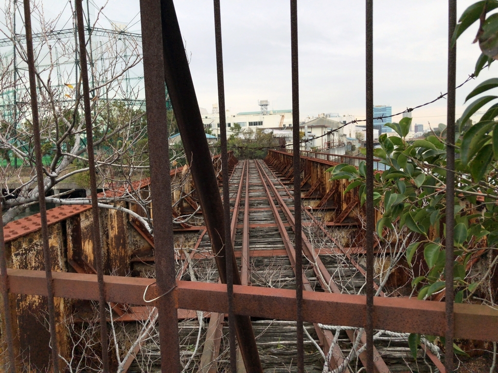 f:id:MIKIMOTO7:20190106212438j:plain