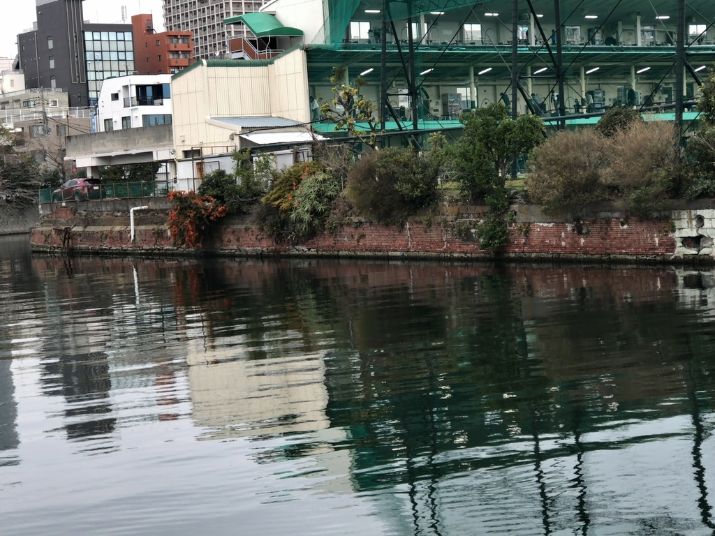 f:id:MIKIMOTO7:20190106212502j:plain