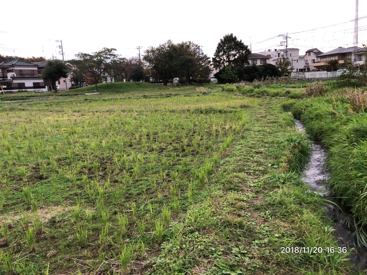 f:id:MIKIMOTO7:20190324013736j:plain