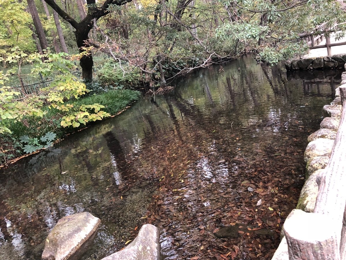 f:id:MIKIMOTO7:20190324013909j:plain