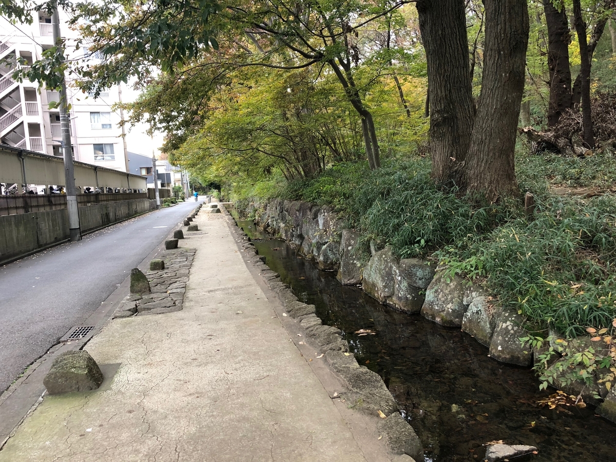 f:id:MIKIMOTO7:20190324013912j:plain