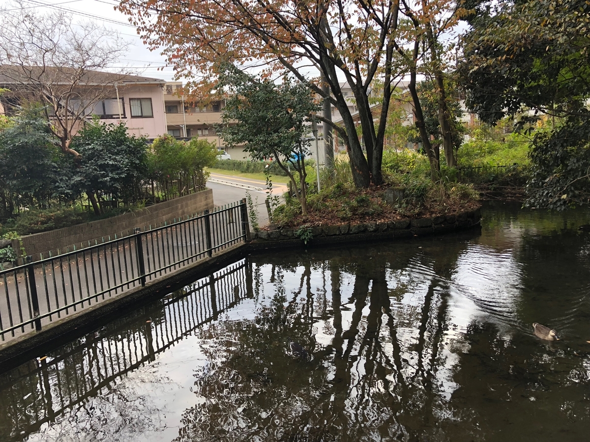 f:id:MIKIMOTO7:20190324013940j:plain
