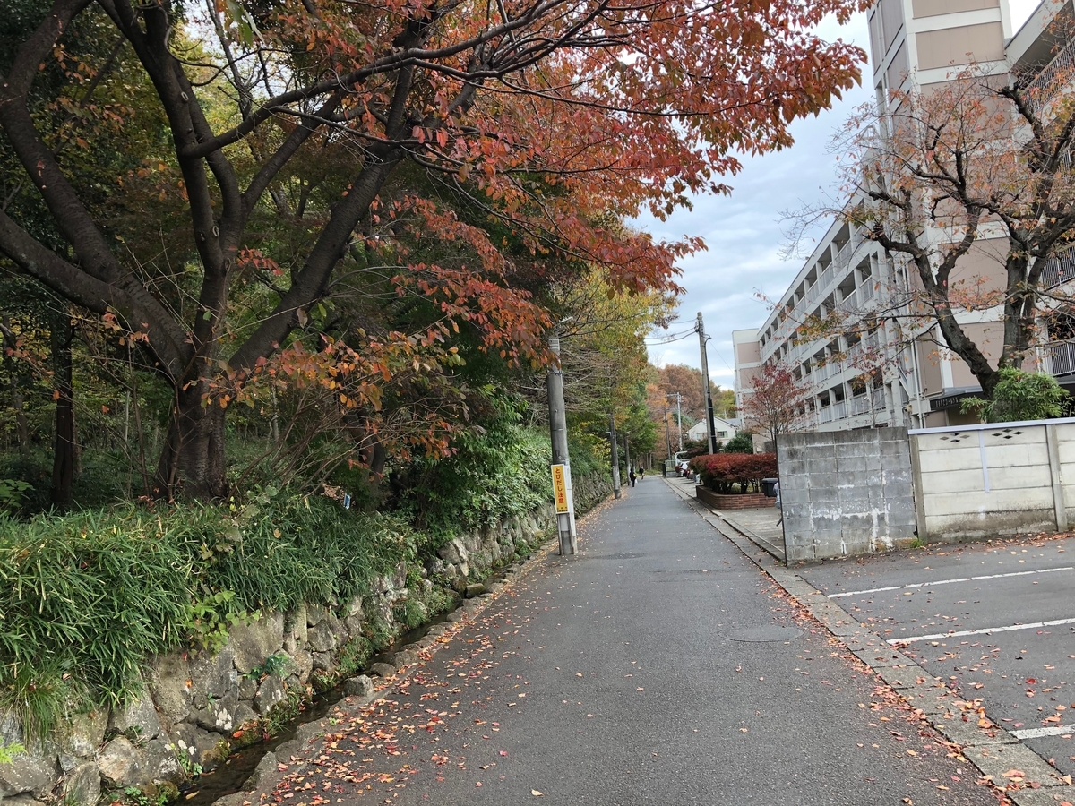 f:id:MIKIMOTO7:20190324014029j:plain