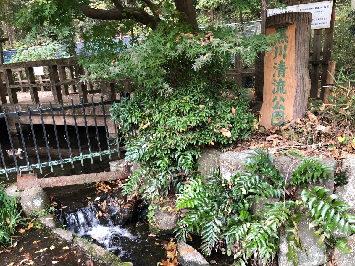 f:id:MIKIMOTO7:20190324014051j:plain