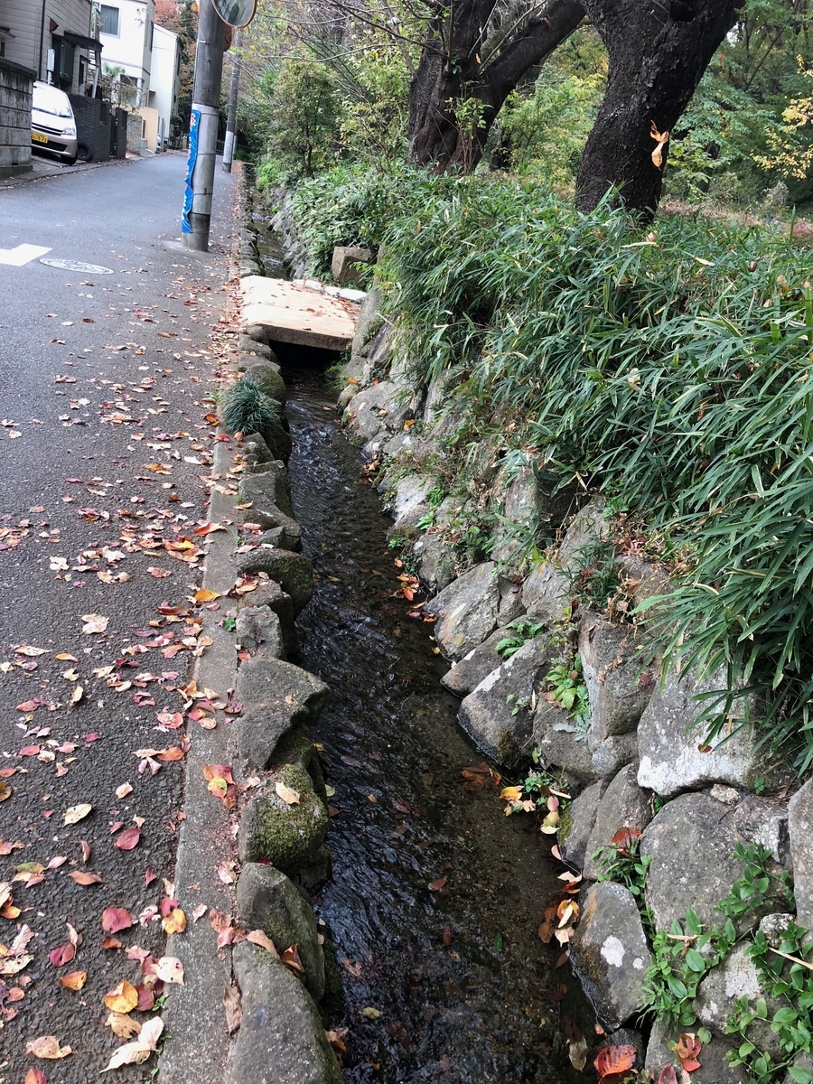 f:id:MIKIMOTO7:20190324014054j:plain