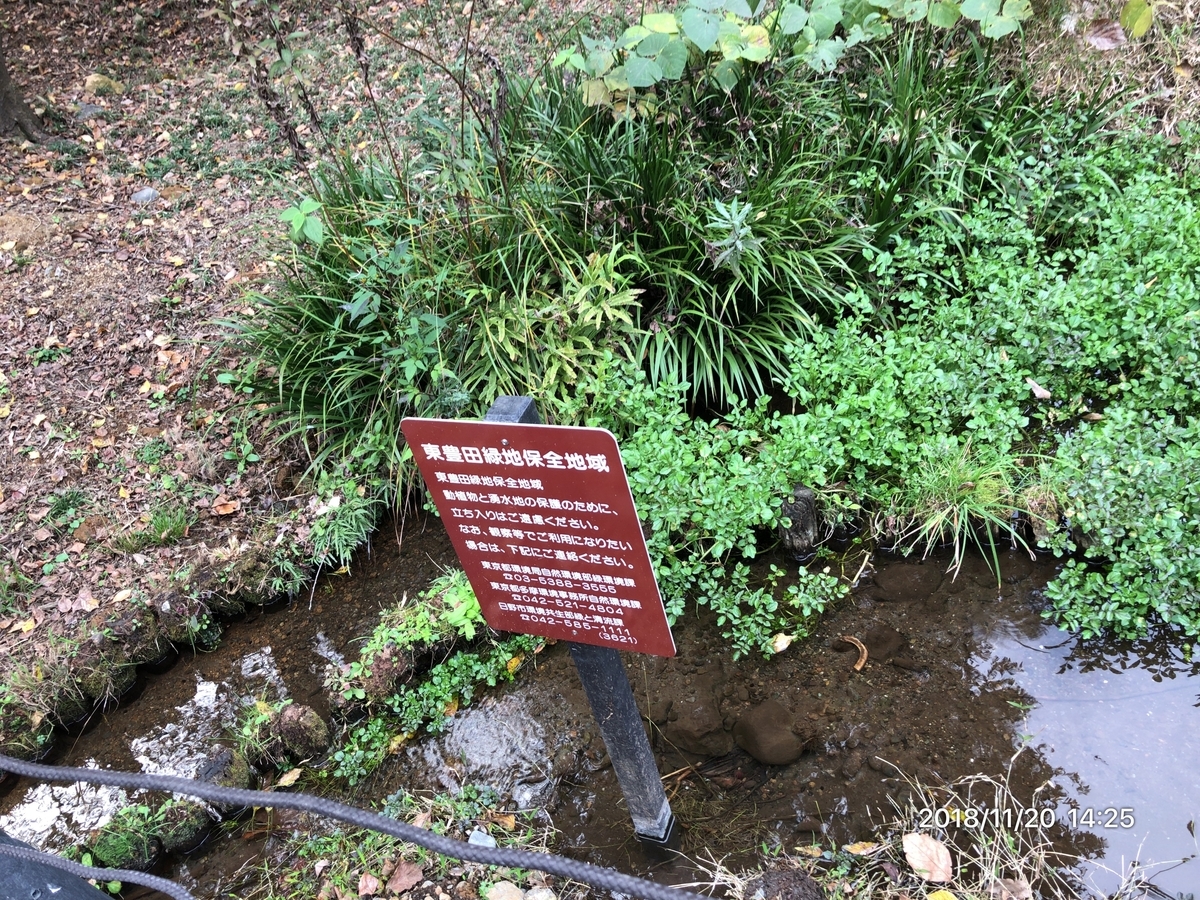 f:id:MIKIMOTO7:20190324014103j:plain