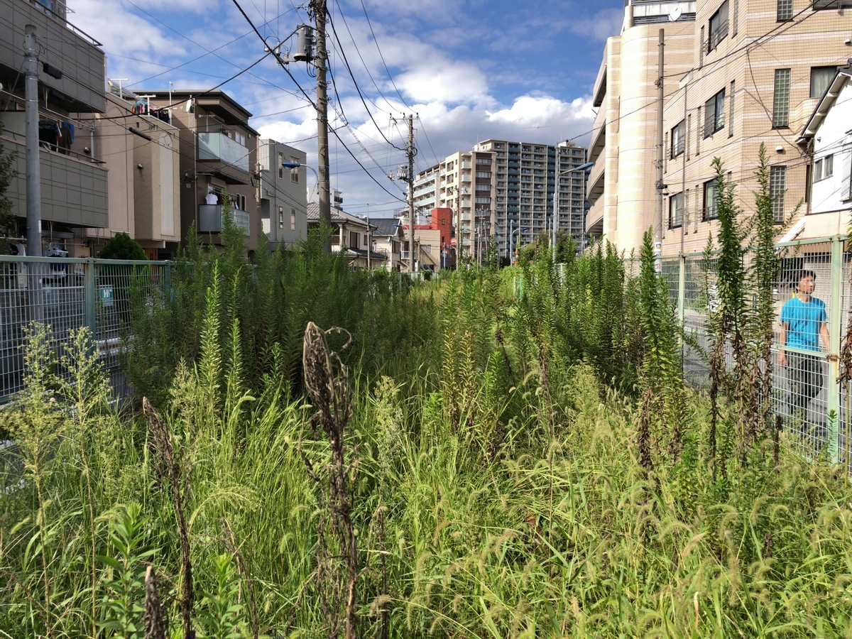 f:id:MIKIMOTO7:20200517172744j:plain