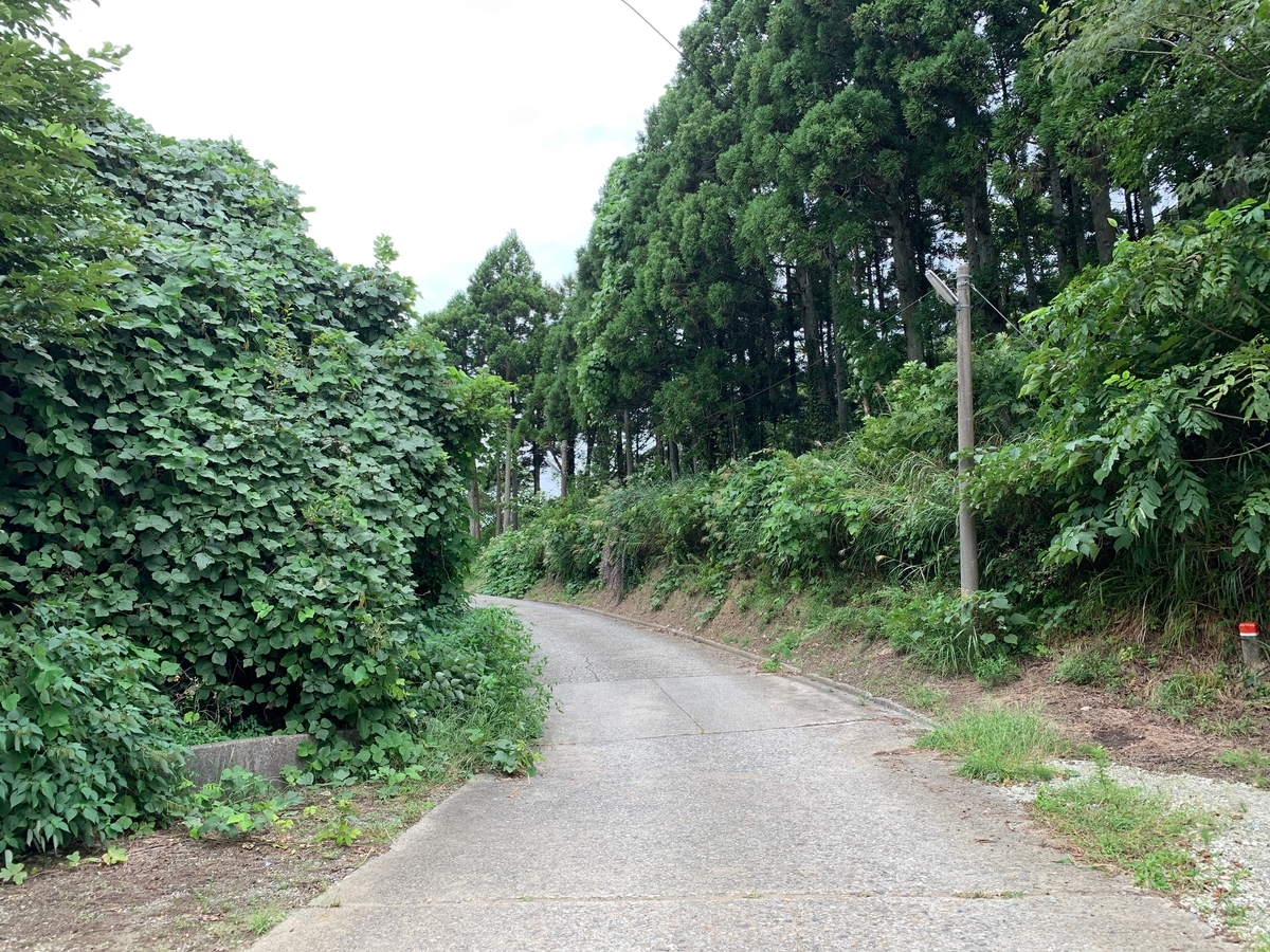 f:id:MIKIMOTO7:20201018213905j:plain f:id:MIKIMOTO7:20201018213905j:plain