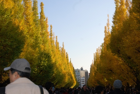 イメージ 16