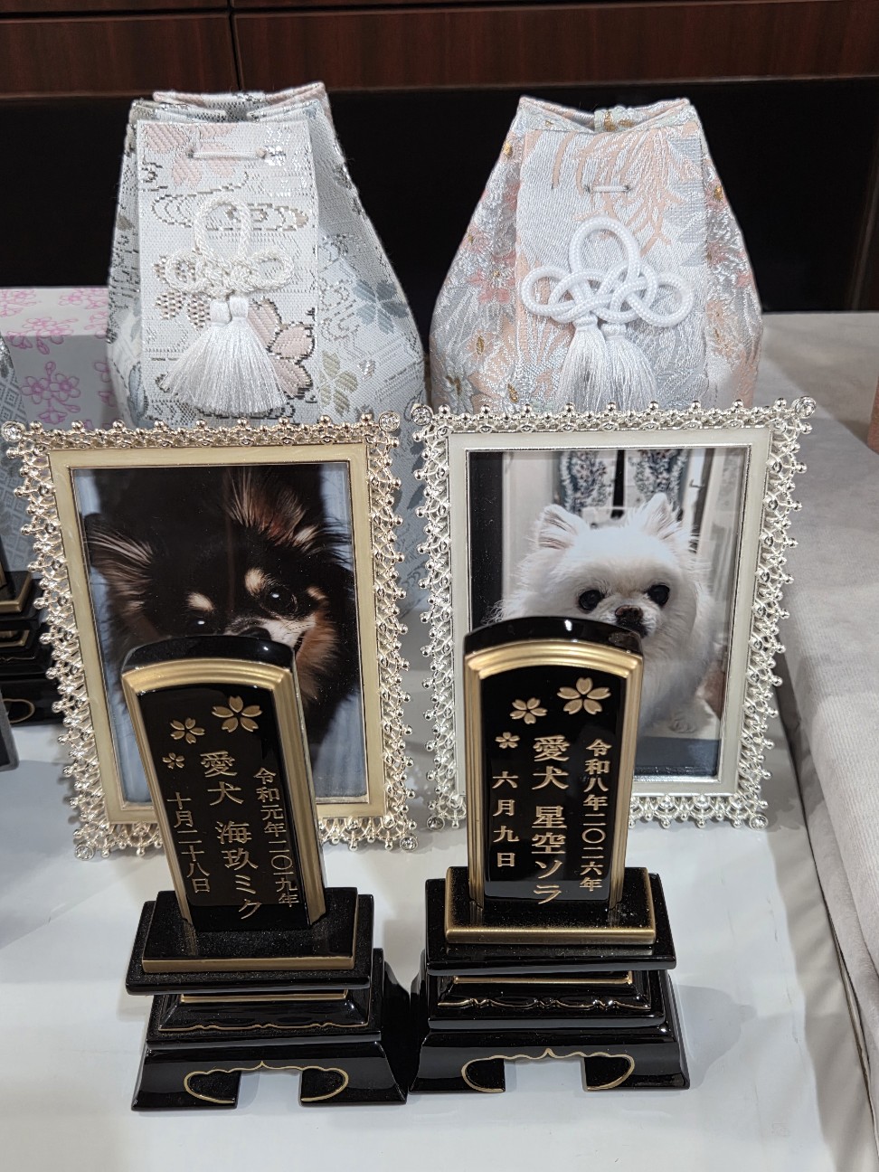 f:id:MIKUSORA:20260809212634j:image