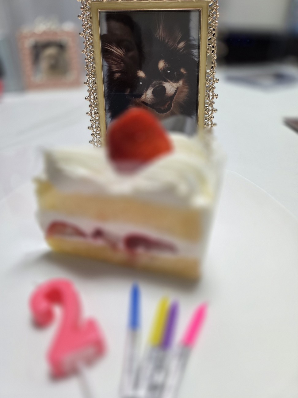 f:id:MIKUSORA:20260901202112j:image