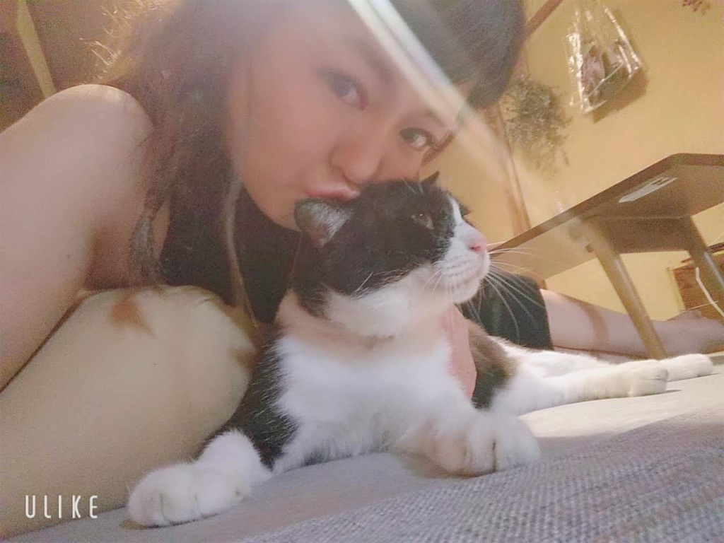 f:id:MINAel:20191004092952j:image