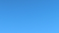 20260212004413