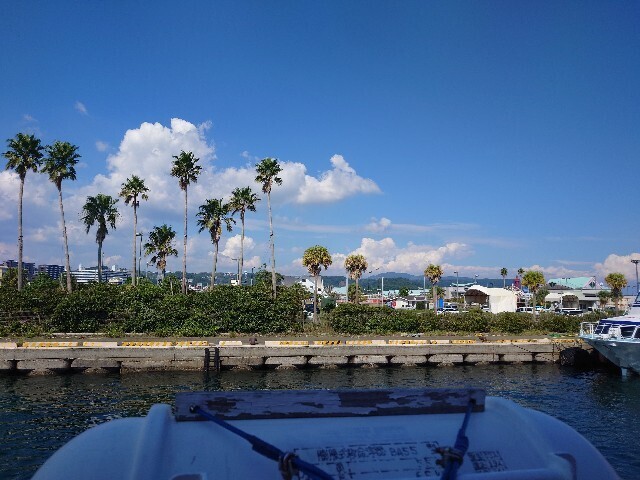 f:id:MINMI:20241014130335j:image