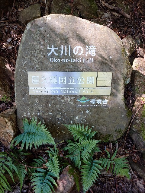 f:id:MINMI:20241014134633j:image