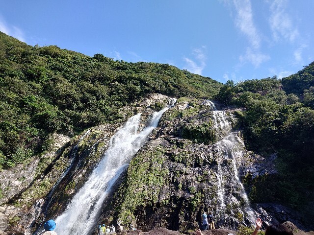 f:id:MINMI:20241014134656j:image