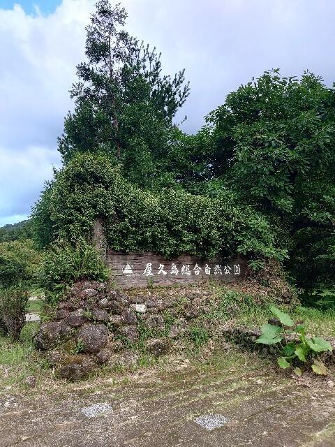 f:id:MINMI:20241014153720j:image