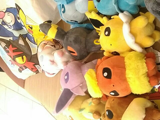 f:id:MINO573:20170619180727j:image f:id:MINO573:20170619180727j:image