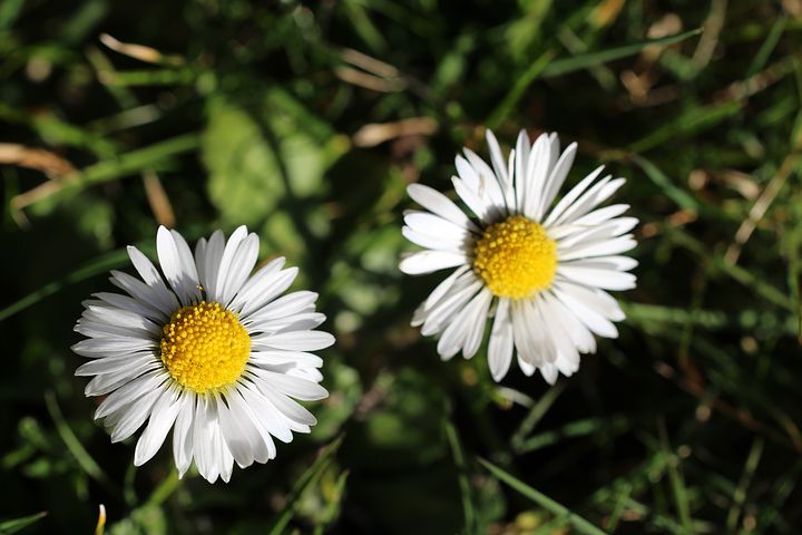 f:id:MINTY8:20190429215438j:plain f:id:MINTY8:20190429215438j:plain