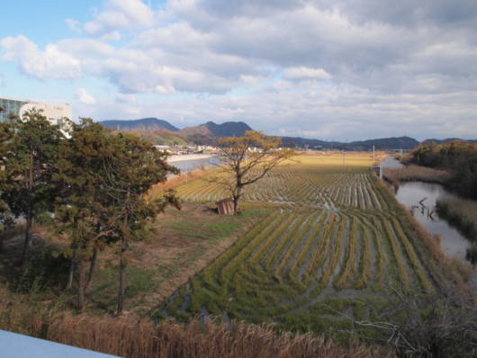 f:id:MIS-TERU:20131207134815j:image