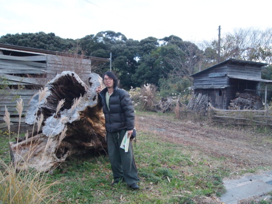f:id:MIS-TERU:20131208165909j:image
