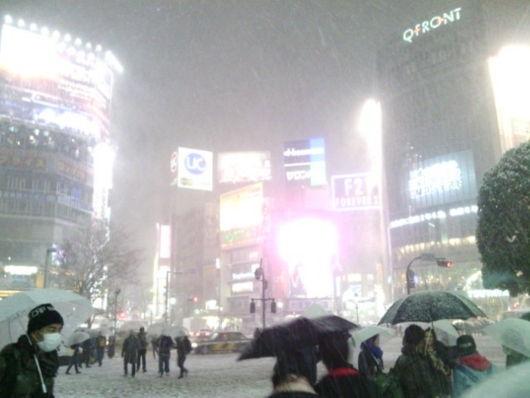 f:id:MIS-TERU:20140214231000j:image