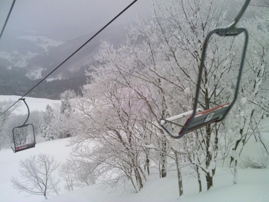 f:id:MIS-TERU:20140219213607j:image