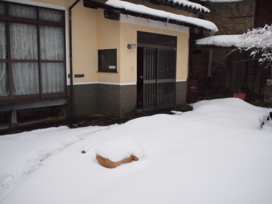 f:id:MIS-TERU:20140310173740j:image