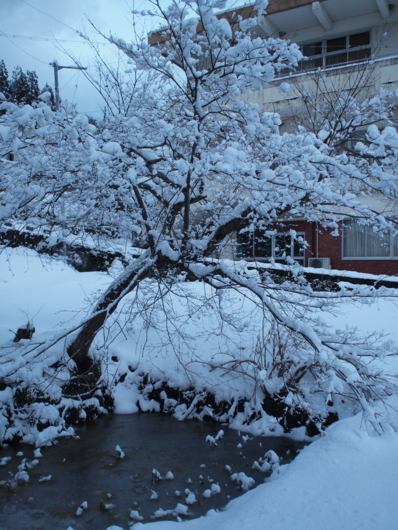 f:id:MIS-TERU:20140310175001j:image