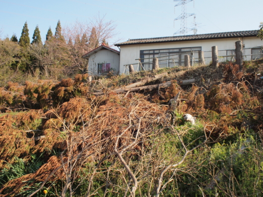 f:id:MIS-TERU:20140324085231j:image