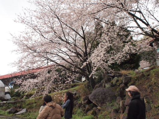 f:id:MIS-TERU:20140326144401j:image