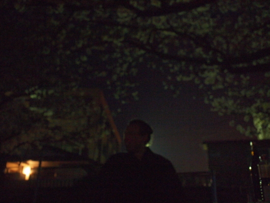 f:id:MIS-TERU:20140327192556j:image