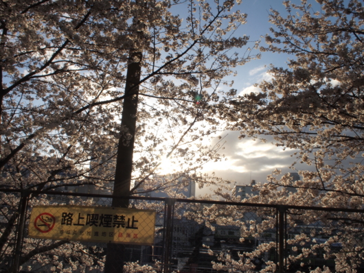 f:id:MIS-TERU:20140330172054j:image