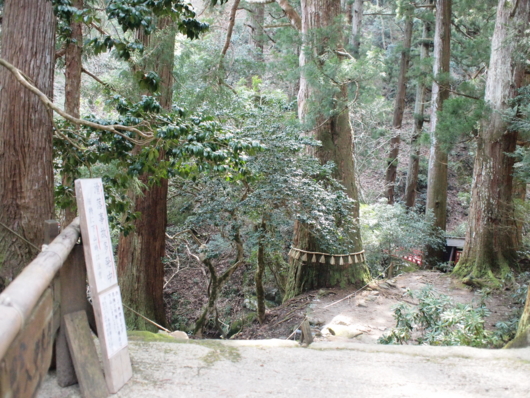 f:id:MIS-TERU:20140402094903j:image