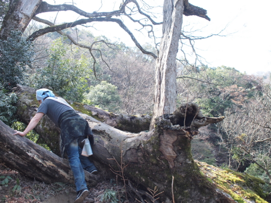 f:id:MIS-TERU:20140402100501j:image