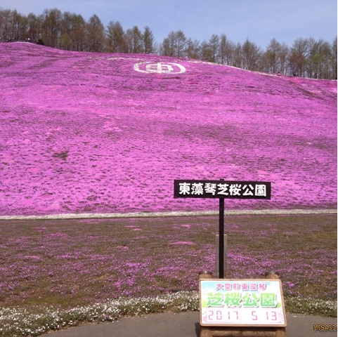 f:id:MISA33:20170514053617j:plain f:id:MISA33:20170514053617j:plain