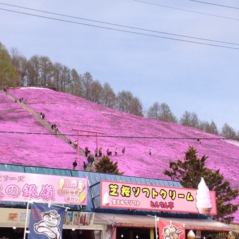 f:id:MISA33:20170514053700j:plain f:id:MISA33:20170514053700j:plain