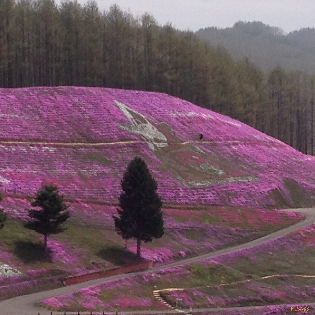 f:id:MISA33:20170514053854j:plain f:id:MISA33:20170514053854j:plain