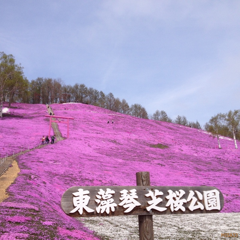 f:id:MISA33:20170514053945j:plain f:id:MISA33:20170514053945j:plain