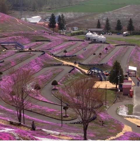 f:id:MISA33:20170514054240j:plain f:id:MISA33:20170514054240j:plain