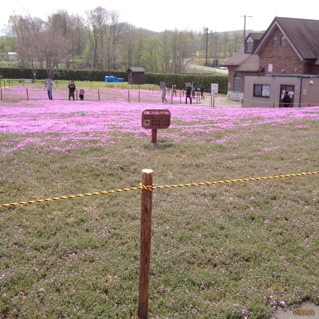 f:id:MISA33:20170514055348j:plain f:id:MISA33:20170514055348j:plain