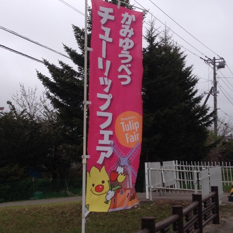f:id:MISA33:20170518055224j:plain f:id:MISA33:20170518055224j:plain