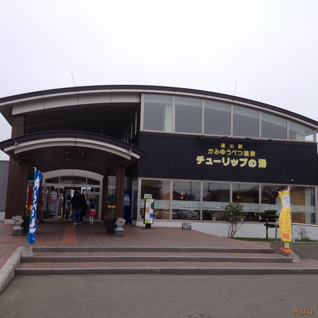 f:id:MISA33:20170518055325j:plain f:id:MISA33:20170518055325j:plain