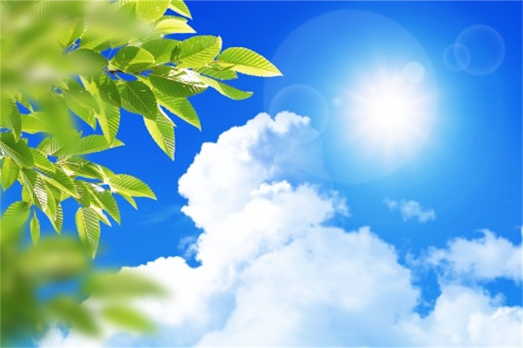 f:id:MISATO1128:20200908233741j:image