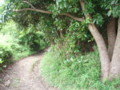 20090704142645