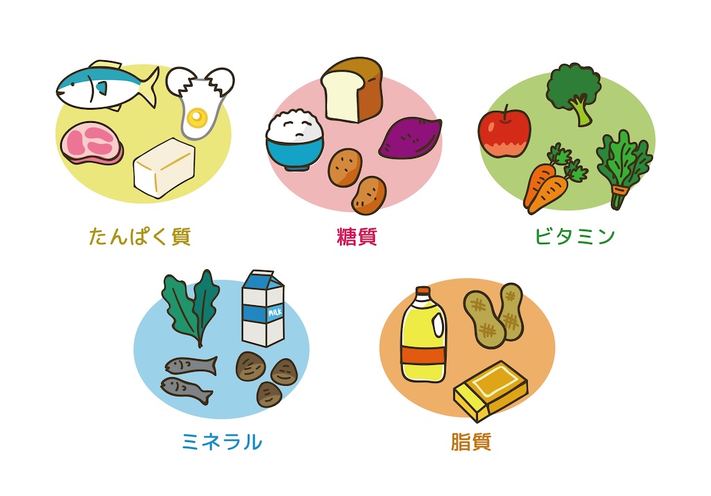 f:id:MIYUU0609:20200928141442j:image