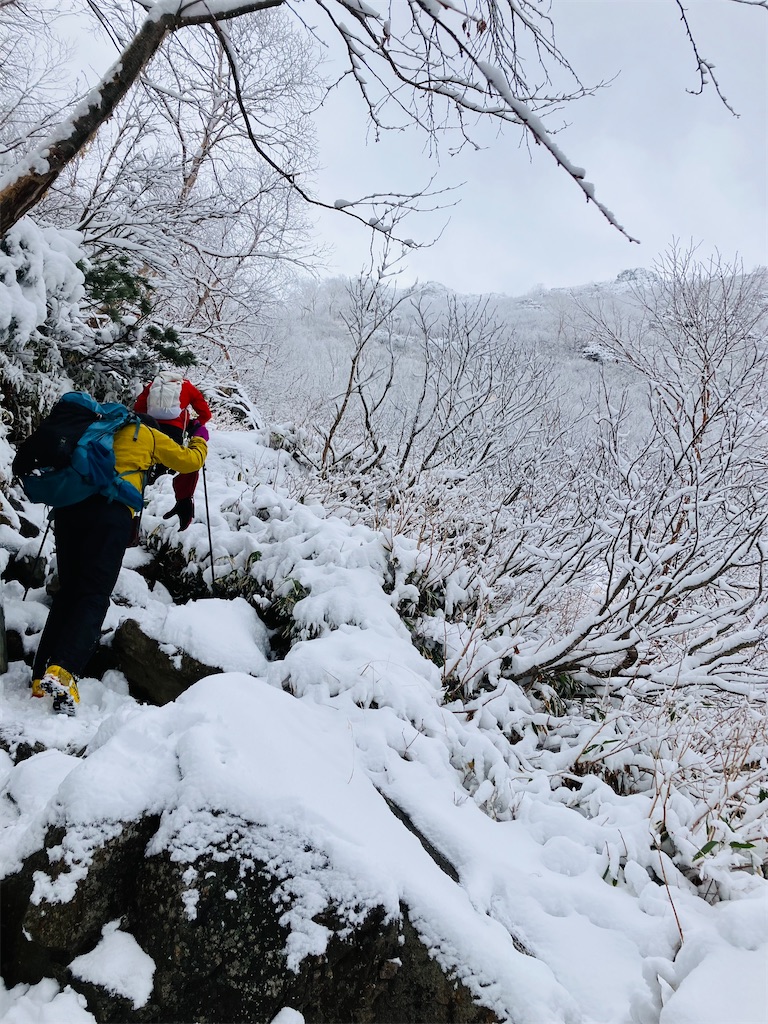f:id:MK_thunder:20251107125759j:image