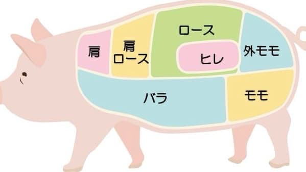 豚肉の部位がわかる豚のイラスト画像